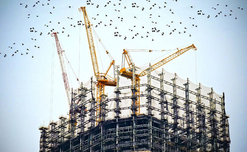 project2-detail-161997584